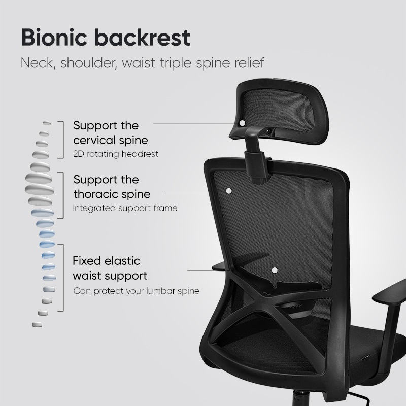 Juodos Deli kėdės galinis vaizdas ir Bionic backrest schema su kaklo, krūtinės bei juosmens atramomis