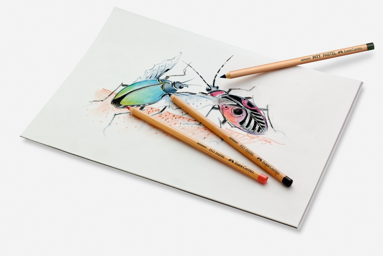 Keturi Faber-Castell Pitt Pastel pieštukai ant balto lapo su mėlynu, žaliu, rožiniu ir juodu stilizuoto vabzdžio eskizu