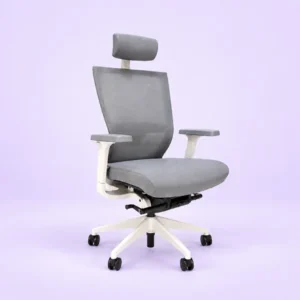 Ergonomika